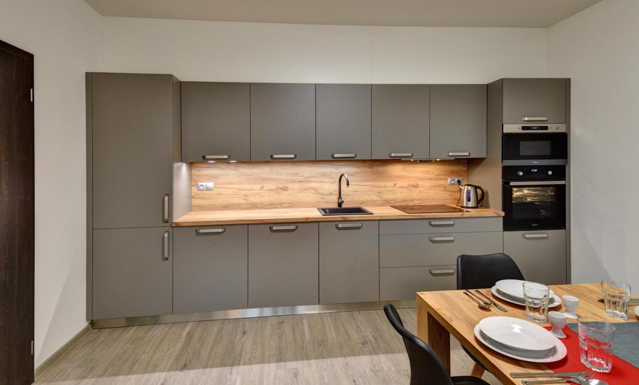 Apartmany Sunny Lipno Липно над Вълтава Екстериор снимка